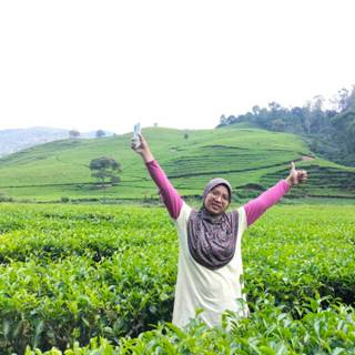 Heny Setiomadi